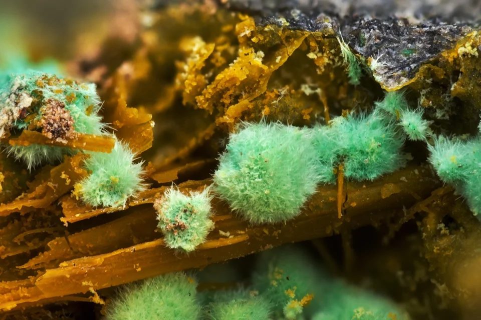 Malachite