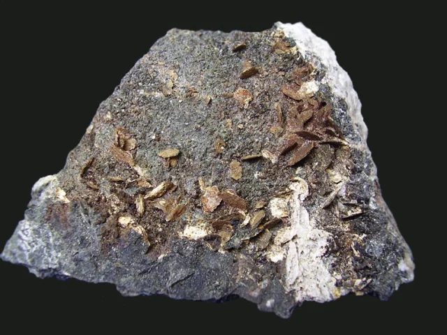 Mineral photo of Clinochlore from locality Polnička, Czech Republic