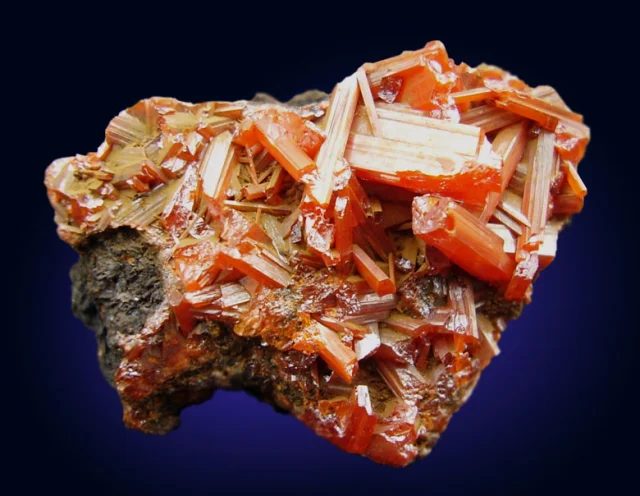 Mineral photo of Crocoite from locality Dundas, Tasmánie, Australia
