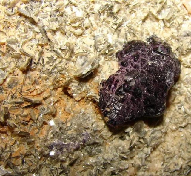 Mineral photo of Fluorite from locality Hutag Ull Ord, Mongolia