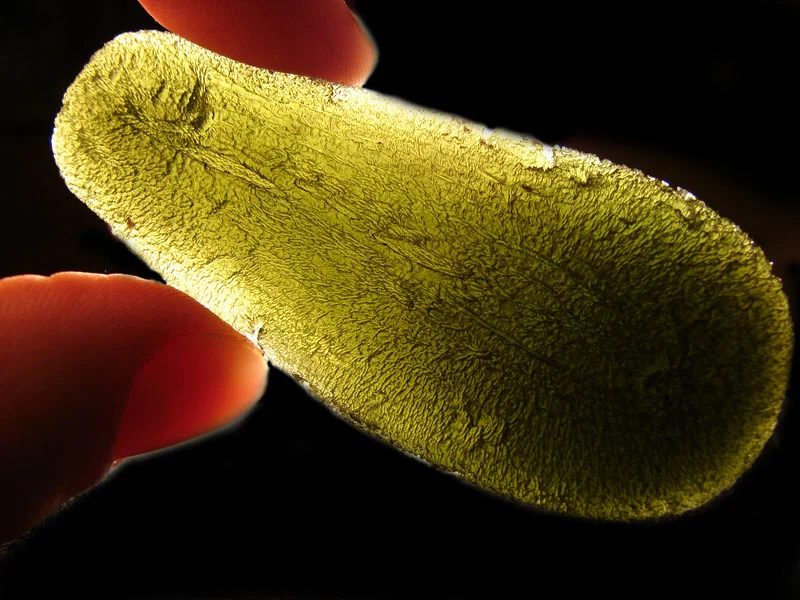 Mineral photo of Moldavite from locality Zatáčka, Czech Republic