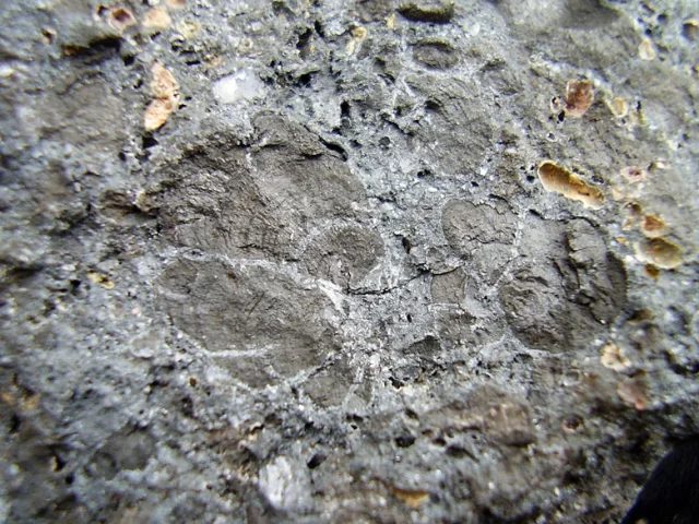 Mineral photo of Pyrolusite from locality Mikušovce, Slovakia