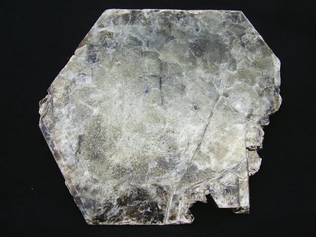 Phlogopite