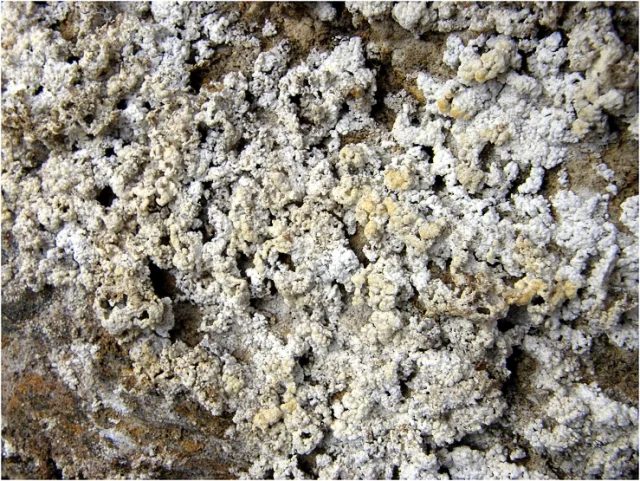 Epsomite