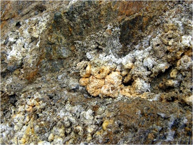 Epsomite