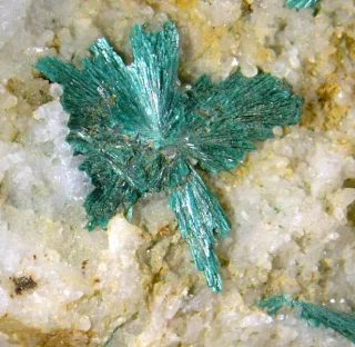 Mineral photo of Malachite from locality Ludvíkov, Czech Republic