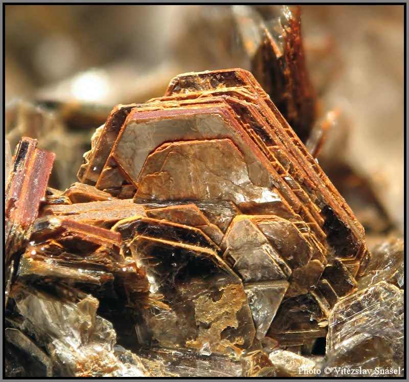 Mineral photo of Zinnwaldite from locality Cínovec, Czech Republic