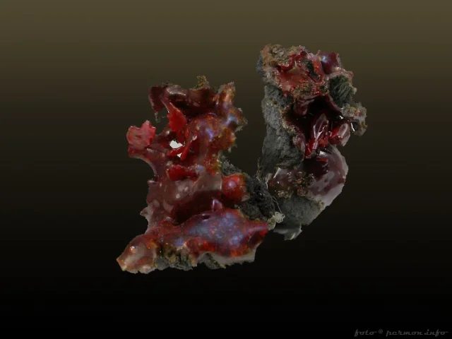 Alacranite