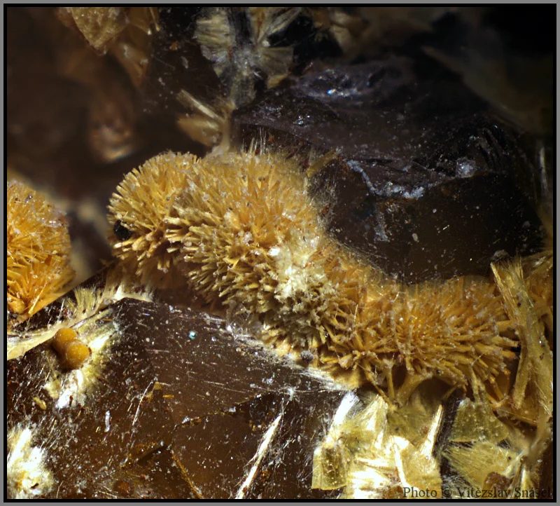 Mineral photo of Cacoxenite, Quartz from locality Těškov, Czech Republic