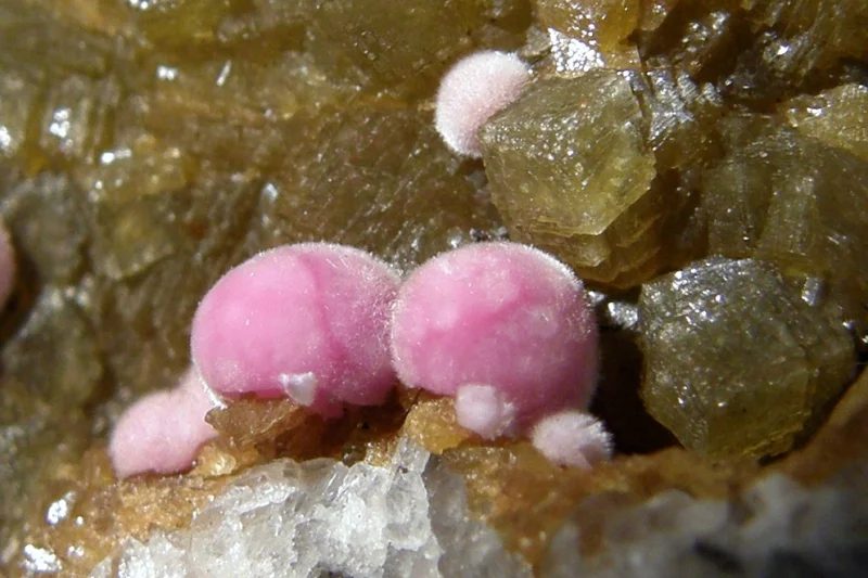 Picropharmacolite