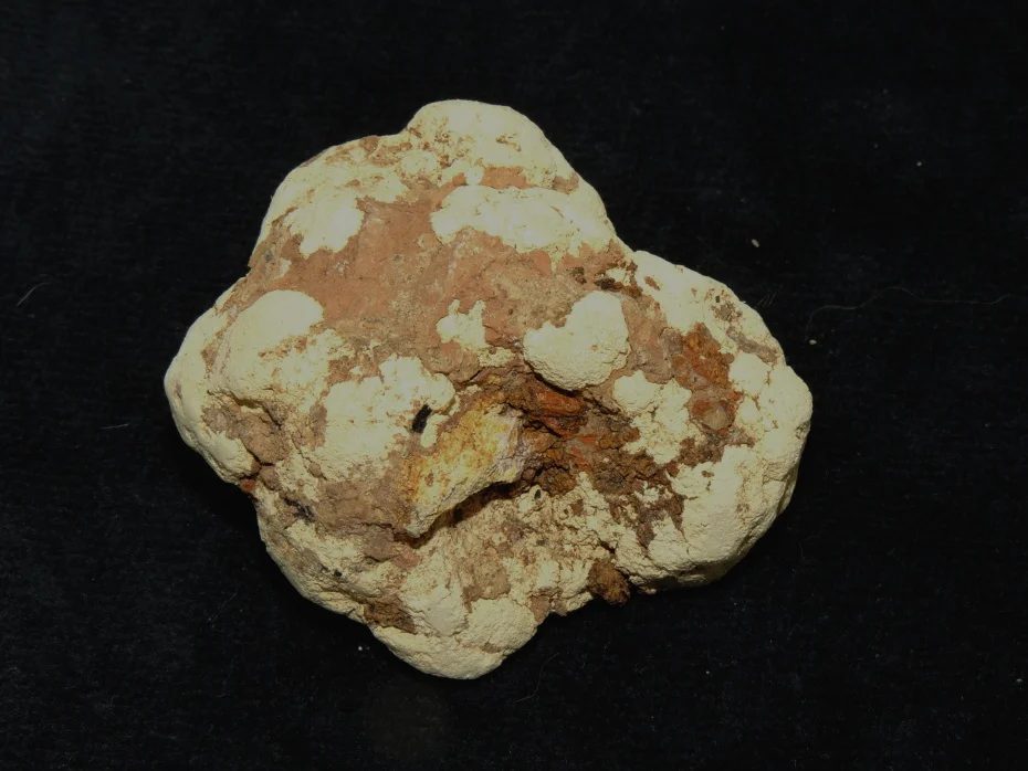 Bukovskyite