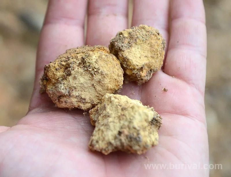 Bukovskyite