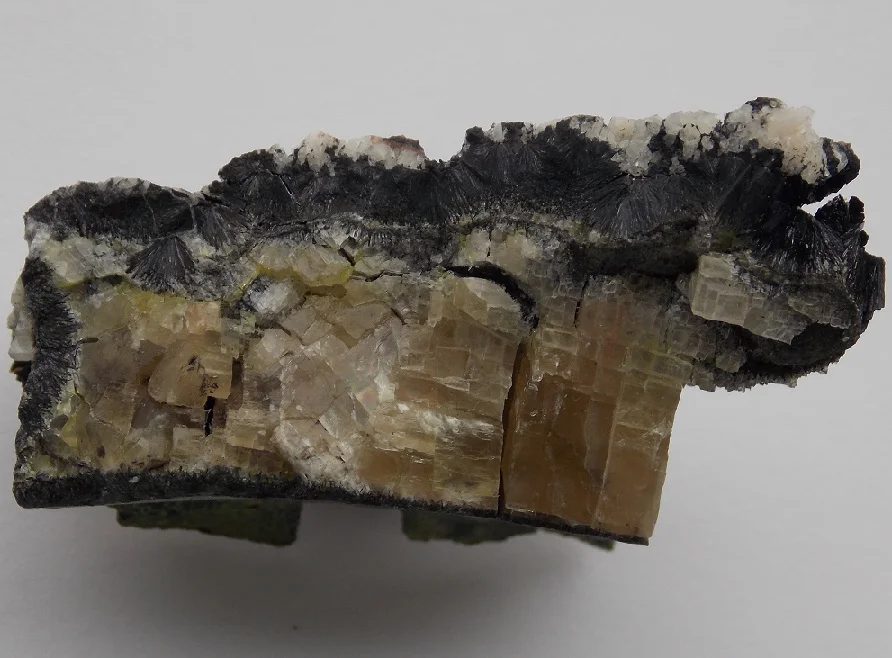 Montroseite