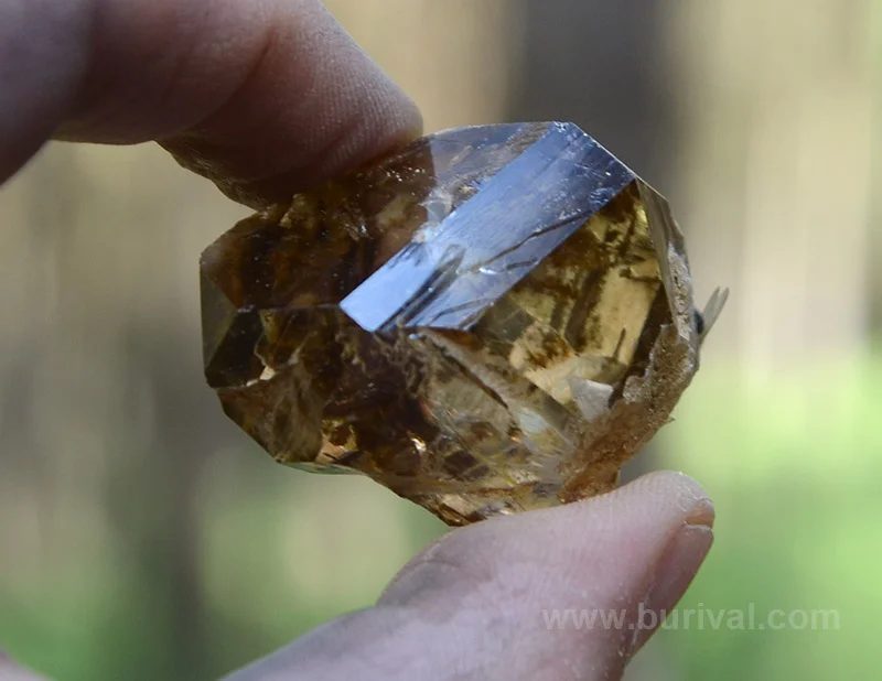 Mineral photo of Quartz (var. smoky) from locality Dolní Bory, Czech Republic