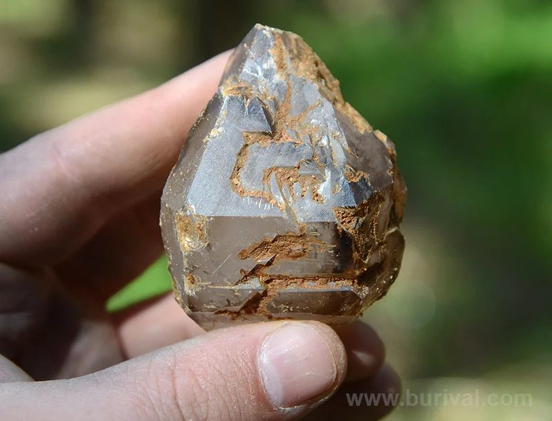 Mineral photo of Quartz (var. smoky) from locality Dolní Bory, Czech Republic