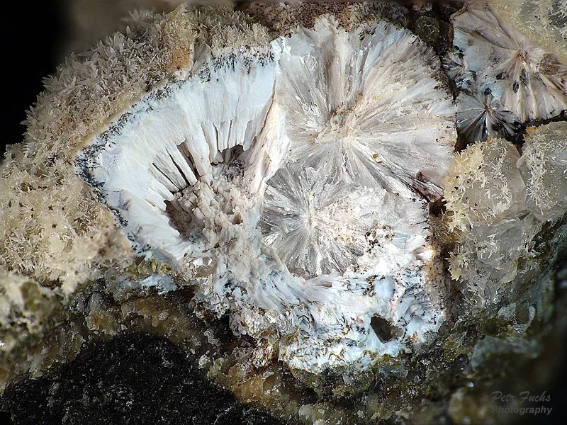 Zeophyllite