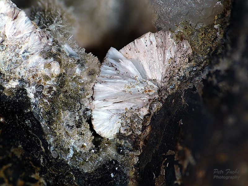 Zeophyllite
