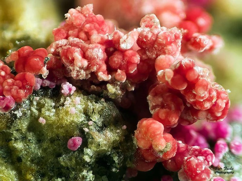 Erythrite