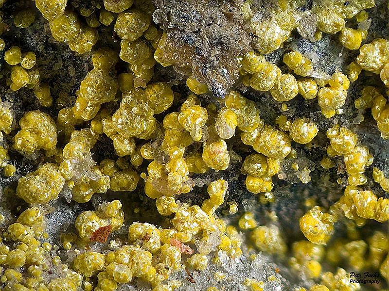 Ferrimolybdite