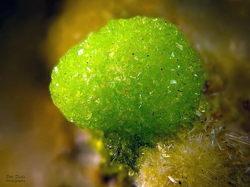 Johannite