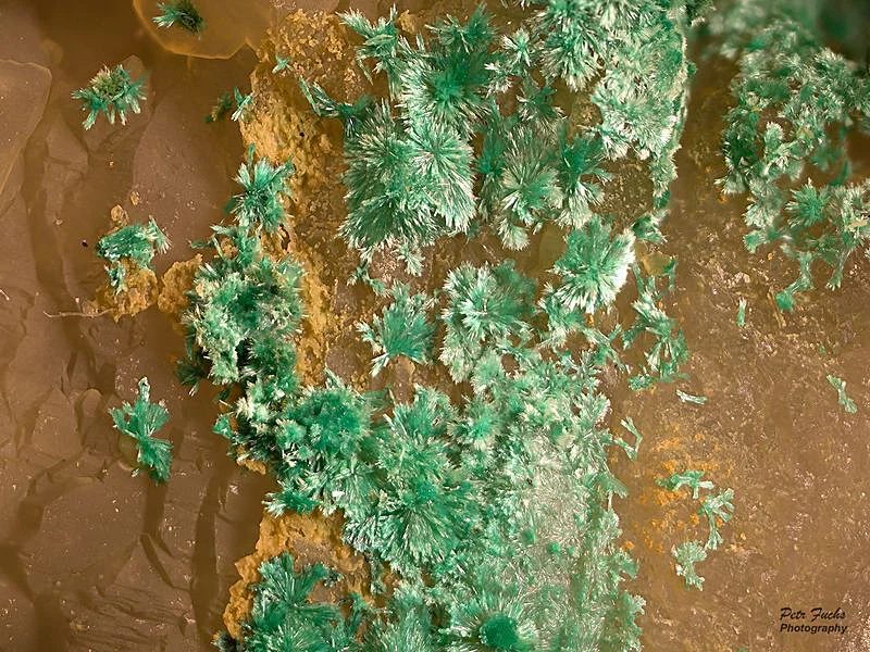 Mineral photo of Mixite from locality Cínovec, Czech Republic