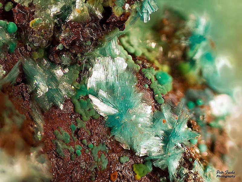 Serpierite