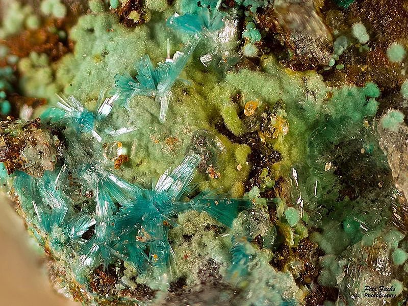 Malachite, Serpierite