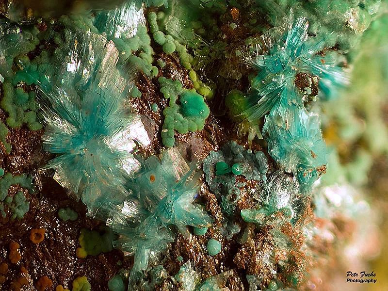 Mineral photo of Malachite, Serpierite from locality Krupka, Czech Republic
