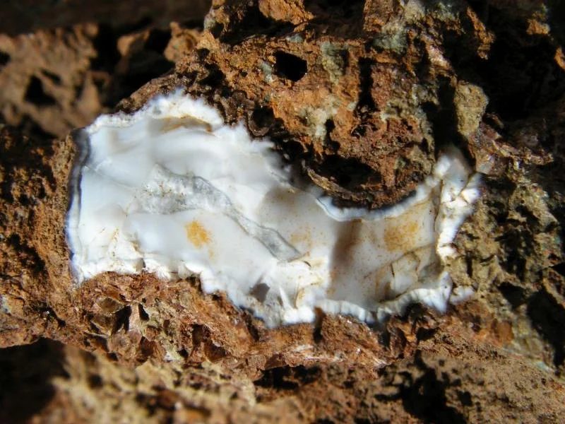 Quartz (var. chalcedony)