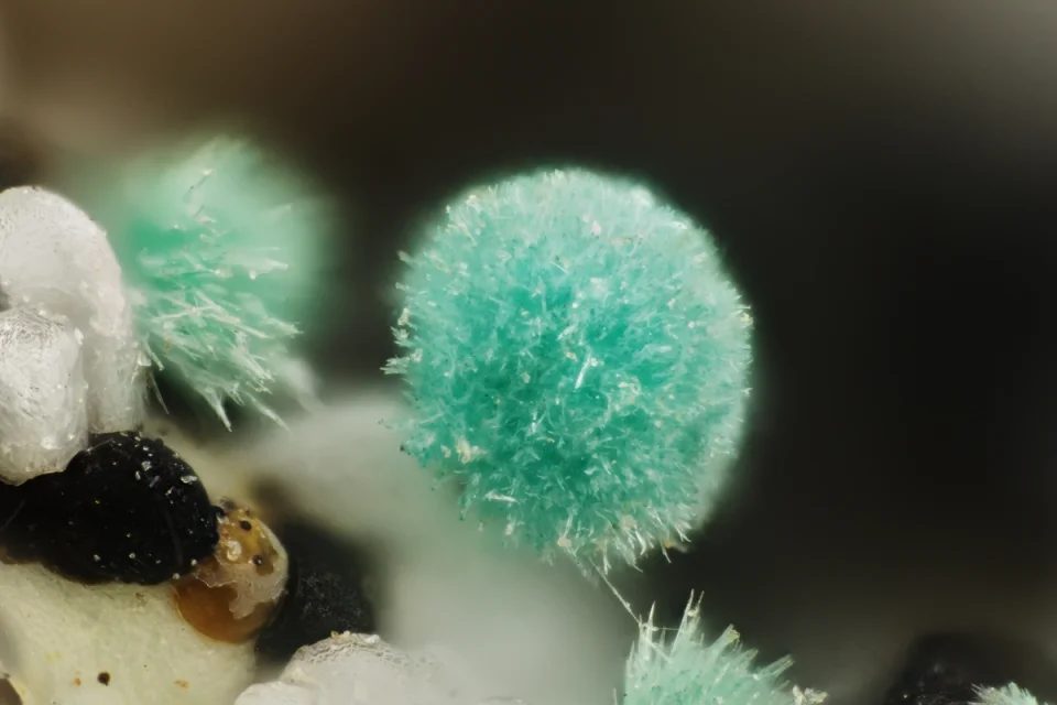 Rosasite
