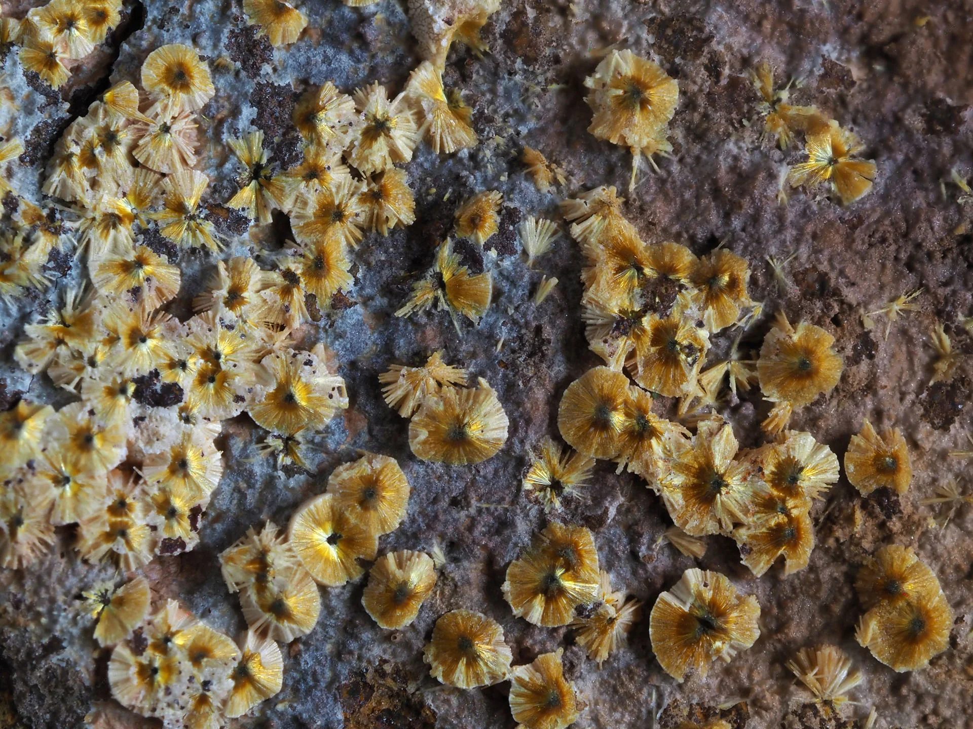Cacoxenite