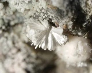 Guérinite