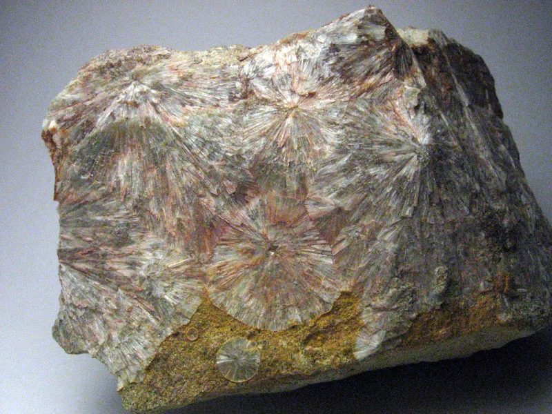 Mineral photo of Wavellite from locality Třenice, Czech Republic
