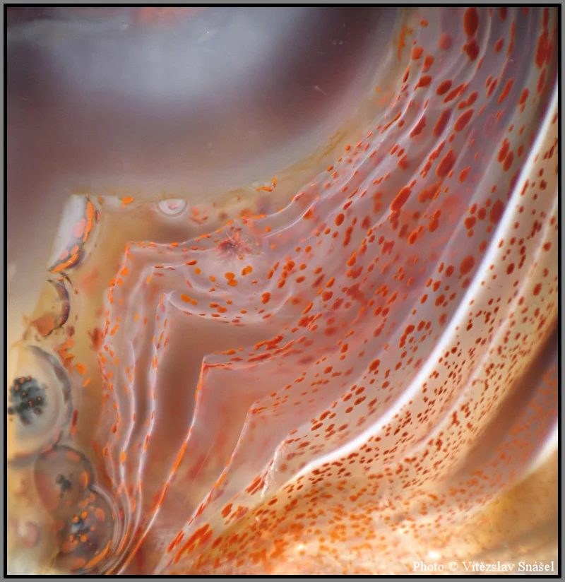 Mineral photo of Agate from locality Doubravice, Czech Republic