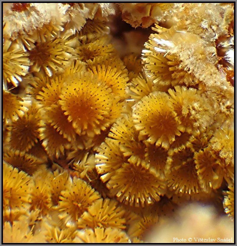 Mineral photo of Cacoxenite from locality La Lande quarry, Brittany, France