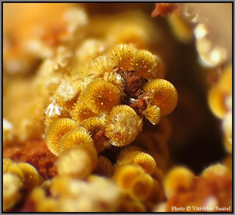 Mineral photo of Cacoxenite from locality La Lande quarry, Brittany, France