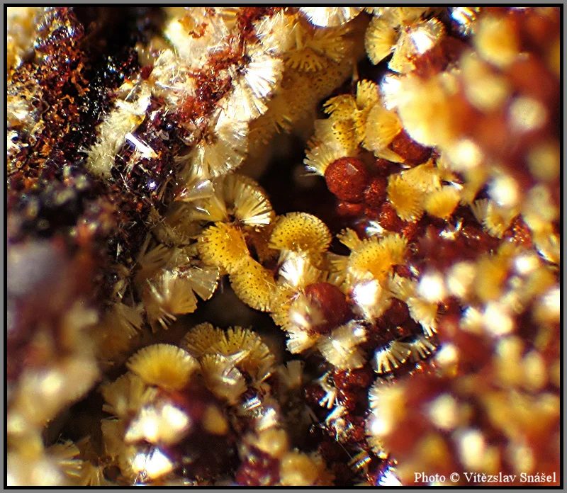 Mineral photo of Cacoxenite from locality La Lande quarry, Brittany, France