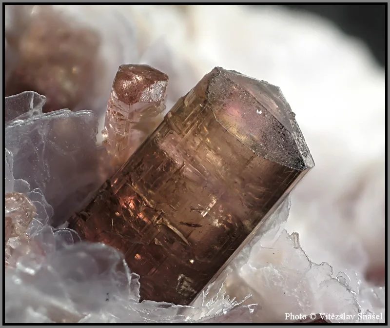 Mineral photo of Elbaite (var. rubellite) from locality Malkhan, Russia
