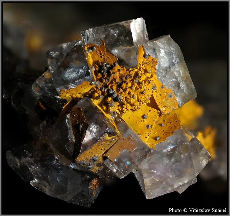 Mineral photo of Fluorite from locality Budjgar, Mongolia