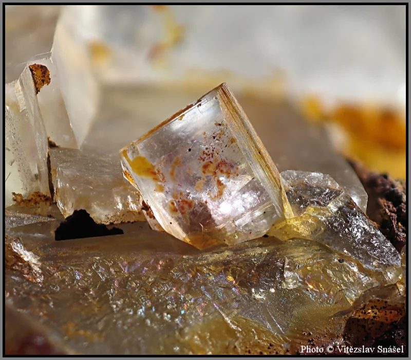 Mineral photo of Fluorite from locality Budjgar, Mongolia