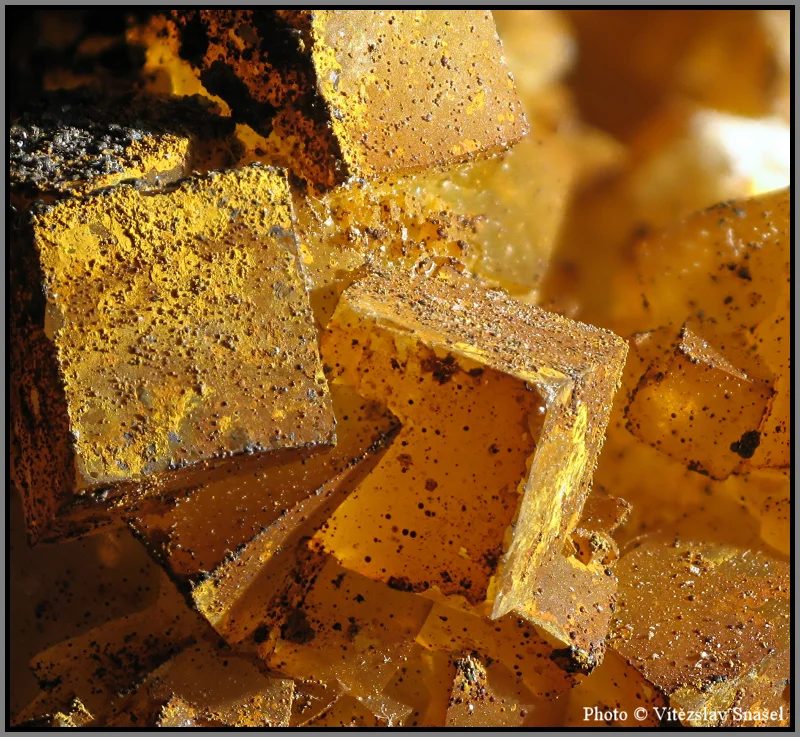 Mineral photo of Fluorite from locality Budjgar, Mongolia