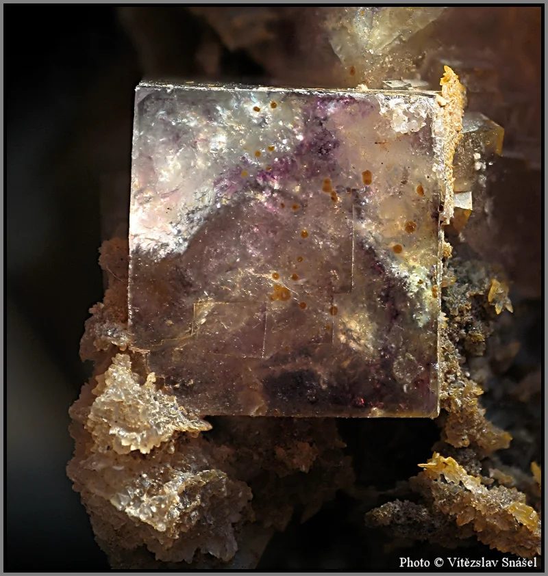 Mineral photo of Fluorite from locality Budjgar, Mongolia
