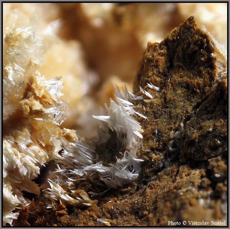 Mineral photo of Halotrichite from locality Dubník, Slovakia