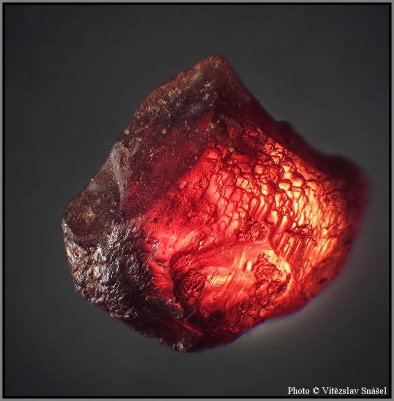 Mineral photo of Pyrope from locality Vestřev, Czech Republic