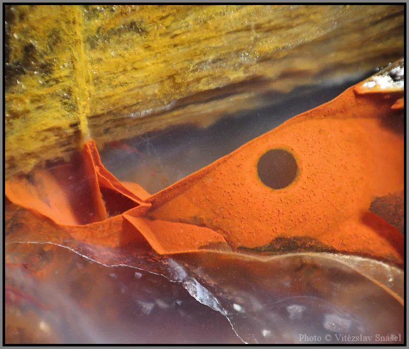 Mineral photo of Agate from locality Železnice, Czech Republic