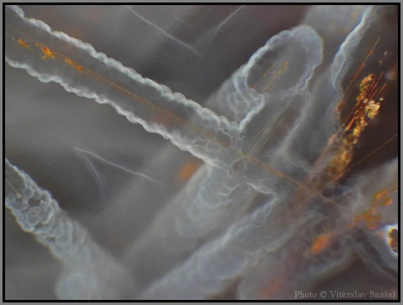 Mineral photo of Agate from locality Železnice, Czech Republic