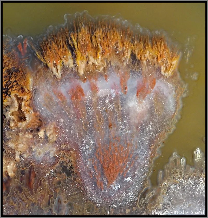 Mineral photo of Agate from locality Železnice, Czech Republic