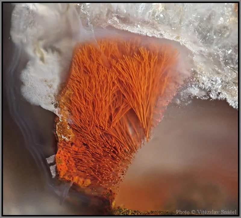Mineral photo of Agate from locality Železnice, Czech Republic
