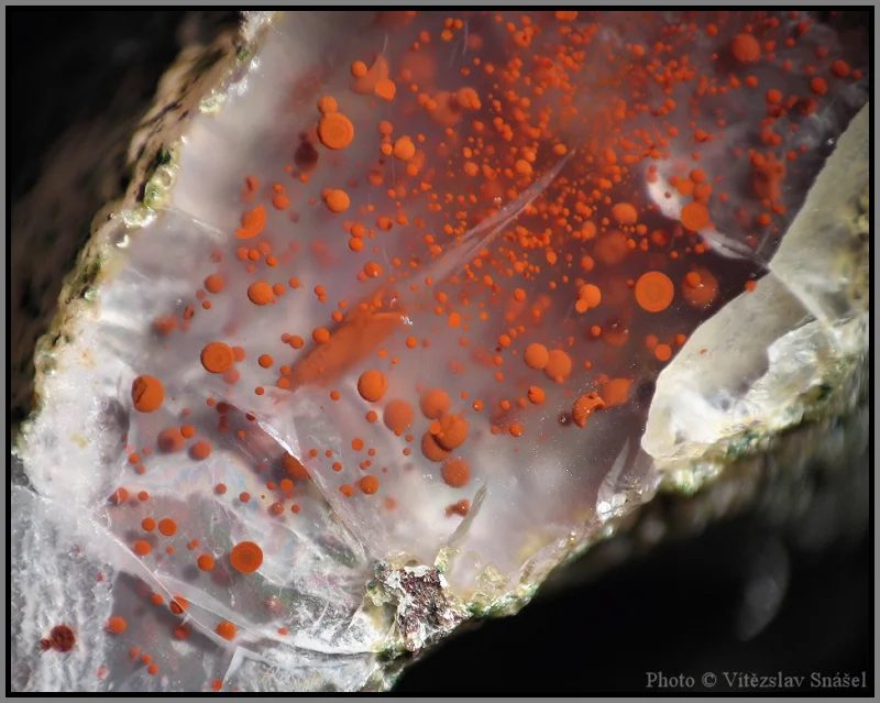 Mineral photo of Agate from locality Doubravice, Czech Republic