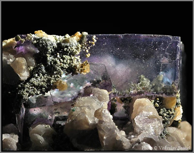 Mineral photo of Fluorite from locality Budjgar, Mongolia